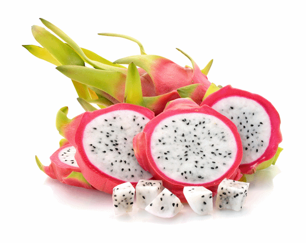 fresh dragon fruit