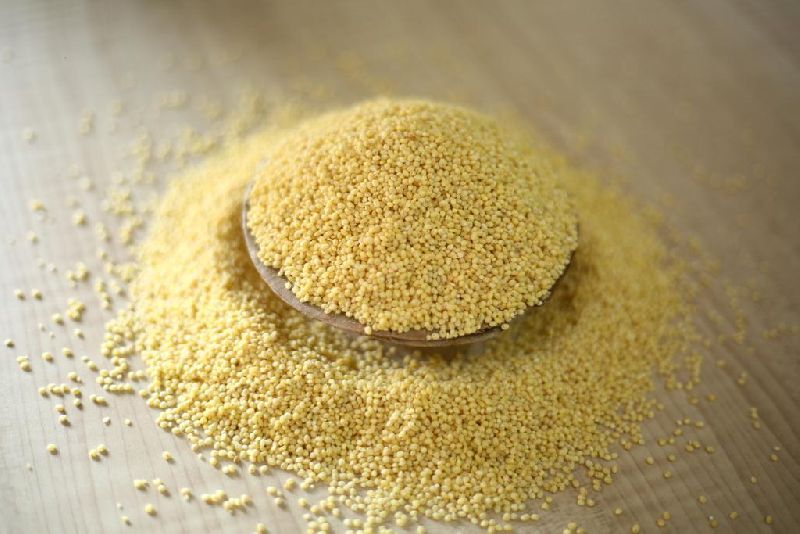 millet seed