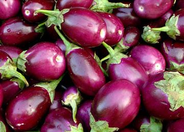 Organic Natural Brinjal