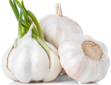 Organic Natural Garlic