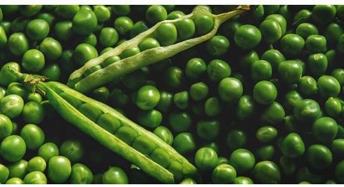 Organic Natural Green Peas