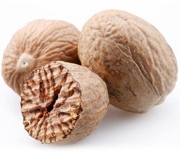 Nutmeg Seed, Color : Brown