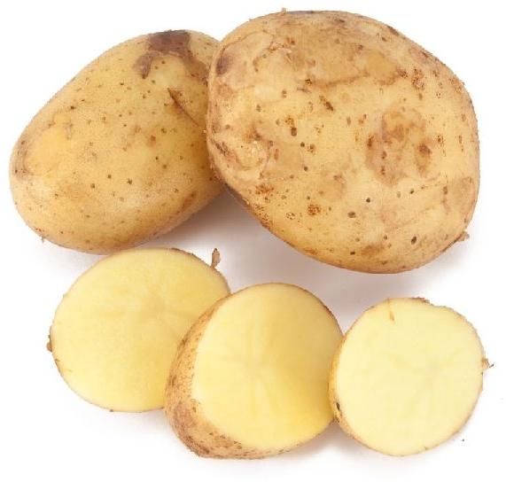 Organic Potato