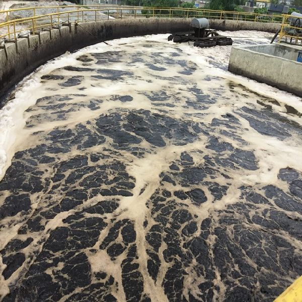 Organic domestic wastewater treatment plant system