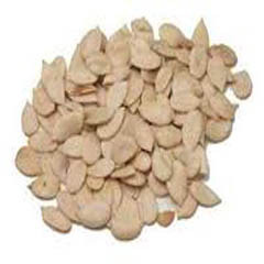 Common Indian Muskmelon Seeds, Shelf Life : 1year