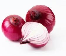 Fresh High Quality Onion