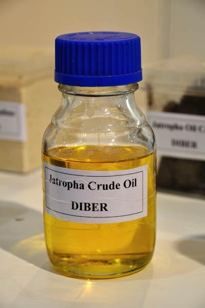 Crude Jstropha Oil