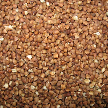 roasted buckwheat