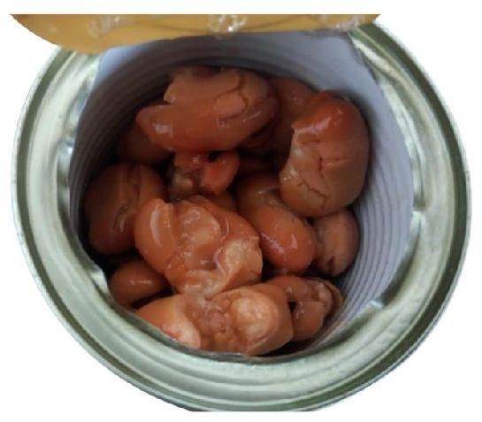 Canned Broad Beans