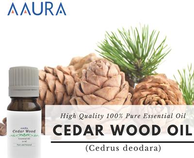 Cedar Wood Essential Oil