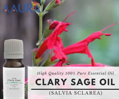 Clary Stage Essential Oil