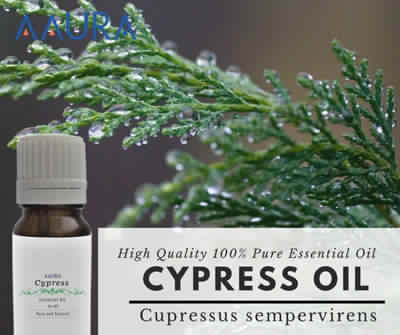 Cypress Essential Oil