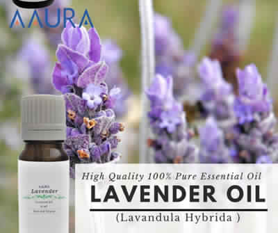 Lavender Essential Oil