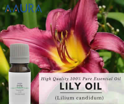 Lily Essential Oil