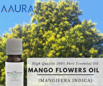 Mango Flowers Essential Oil