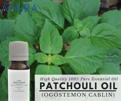 patchouli essential oil