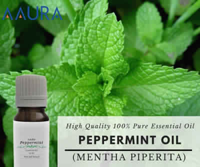 Peppermint Essential Oil