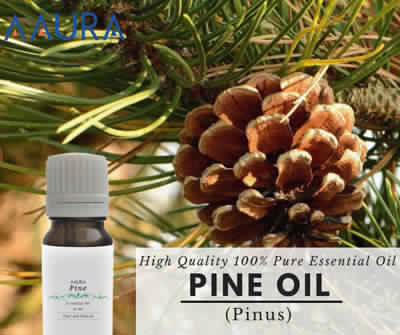 Pine Essential Oil