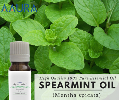 Spearmint Essential Oil