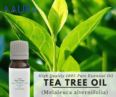 Tea Tree Essential Oil