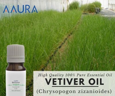 Vetiver Essential Oil