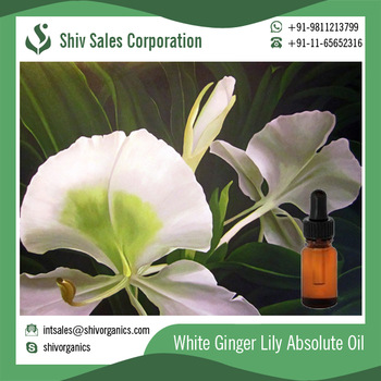 White Ginger Lily Absolute Oil