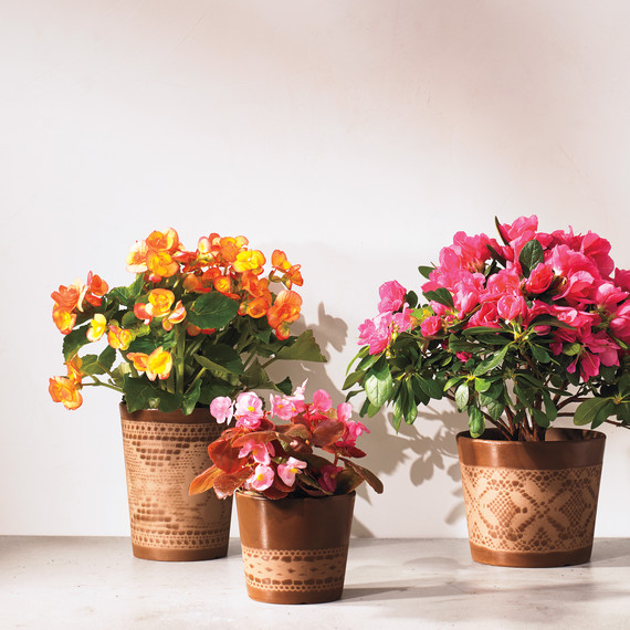decorative flower pots