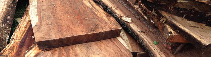 Tamarind Wood , puli Wood