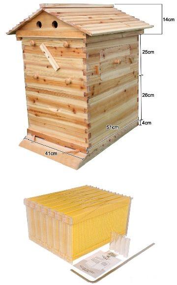 honey beehive box