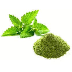 Mint powder, Grade : Food Grade