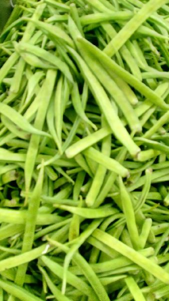 Vegetable Beans