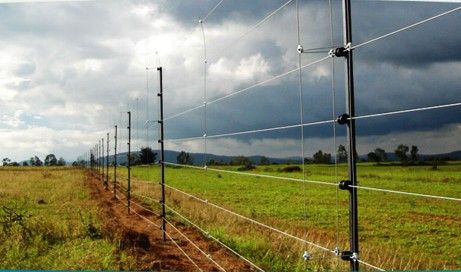 Agriculture or Animal Fencing