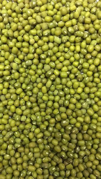 Green moong, Packaging Size : 1kg