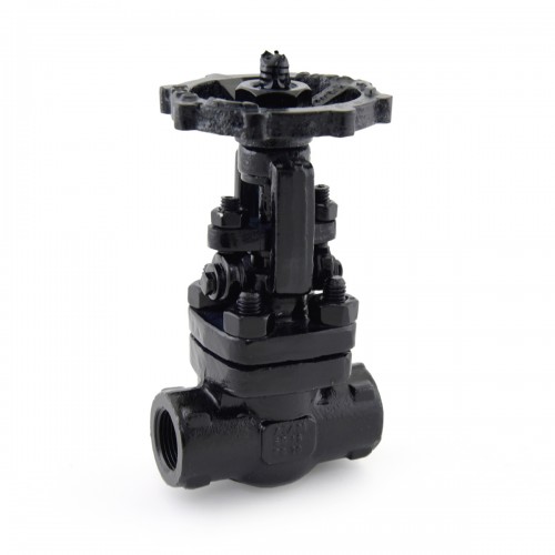 FCS Gate Valve