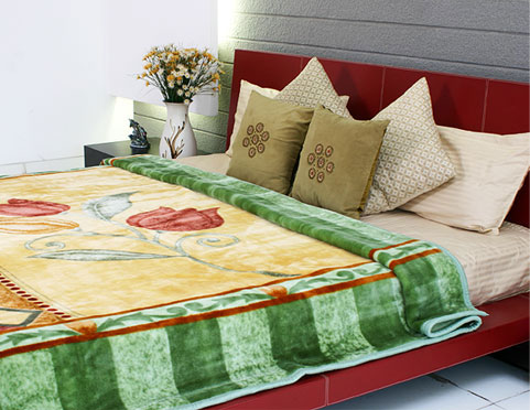 Mink Blankets, Size : 200 x 240, 220 x 240, 150 x 220, 160 x 220