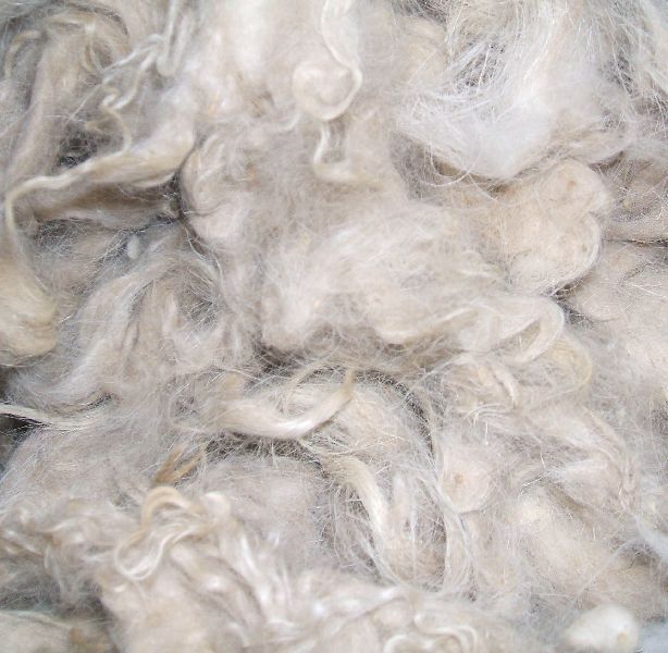 Scoured goat hair for carpet yarn