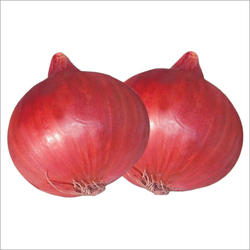 Onion, Packaging Type : Jute Bags