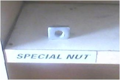 special nut