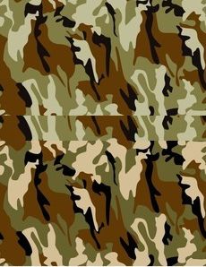 Printed Cotton/Polyester Camouflage Fabric, Technics : Woven