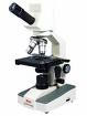 Microscope with Oil Immersion
