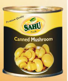 Canned Mushroom