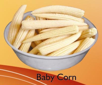 Frozen Baby Corn