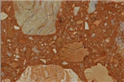 Terracota Colored Stone Marble