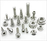 Stainless Steel Fastener