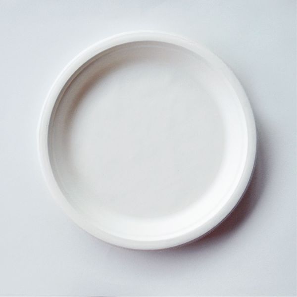 Round Dinner Plate