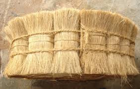 Bristle Fibre, for Used Making Mats, Ropes, Feature : Eco-Friendly, Free From Moisture