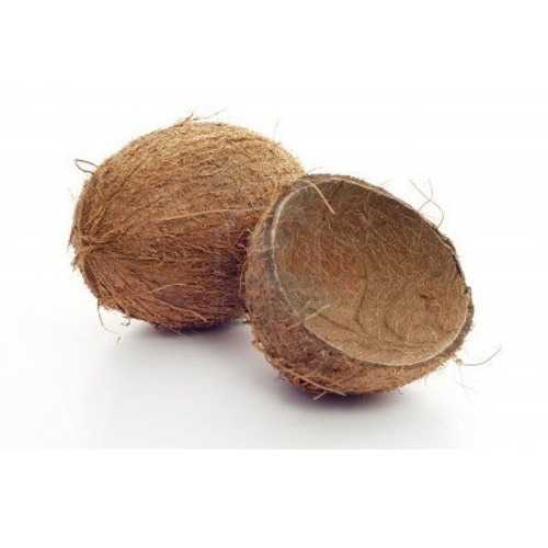 Coconut shell, for Handicraft