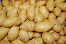 Fresh potato, for in curries, salads, In making chips, Feature : Good Quality