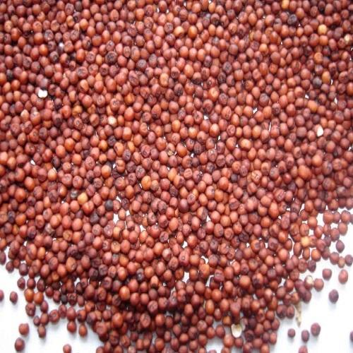 Organic Kodo Millet (Varagu), Color : Light Brown