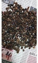 Shatavari Seeds, Color : black